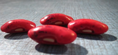 scarlet runner bean seeds